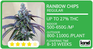 The Ultimate Guide to Choosing Quality Weed Seeds BC