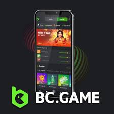 Understanding BC Game Terms and Conditions A Comprehensive Guide Understanding BC Game Terms and Conditions A Comprehensive Guide